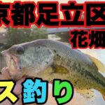 【バス釣り】東京人気バス釣りスポット‼東京都足立区花畑運河‼