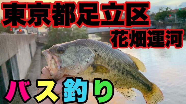 【バス釣り】東京人気バス釣りスポット‼東京都足立区花畑運河‼