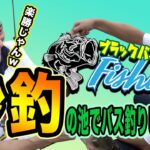 【初心者必見！】秒で釣れる池でブラックバス釣りをしてみた【宮崎県国富町】