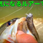 【バス釣り】最近流行の生魚っぽいルアーをホバストの具にしてみた結果、、、 #バス釣り