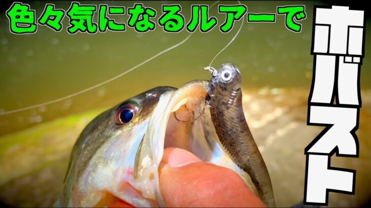 【バス釣り】最近流行の生魚っぽいルアーをホバストの具にしてみた結果、、、 #バス釣り