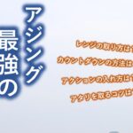 誰でも簡単に釣れる！２万匹以上釣ったアジングの釣り方！