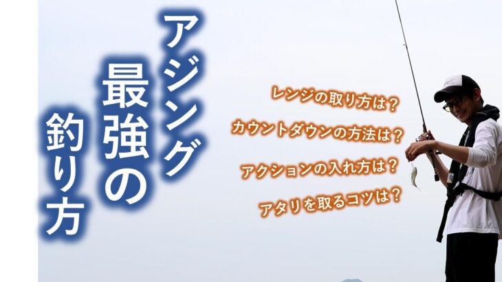 誰でも簡単に釣れる！２万匹以上釣ったアジングの釣り方！