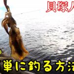 【大阪湾】秋イカエギングで簡単に連発する方法！