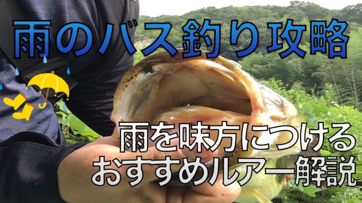 【バス釣り】雨降りのルアーはトップがおすすめ？攻略法を解説【季節・野池・雨の日】