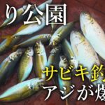 早朝にサビキ釣りをしたら良型のアジや回遊魚が爆釣した！【コマセなし】