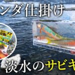 【川のサビキ釣り？】淡水小物がたくさん釣れる「オランダ仕掛け」が楽しい！【多摩川】