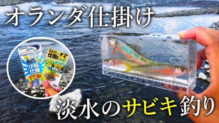 【川のサビキ釣り？】淡水小物がたくさん釣れる「オランダ仕掛け」が楽しい！【多摩川】