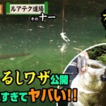 魚丸見えバイト連発！オリカネ虫 禁断の吊るしワザ公開 釣れすぎてヤバい!!【浦川師範代ルアテク道場 その十一】