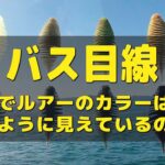 【バス目線 その1】　水中でルアーのカラーはどのように見えているのか？ディープ編