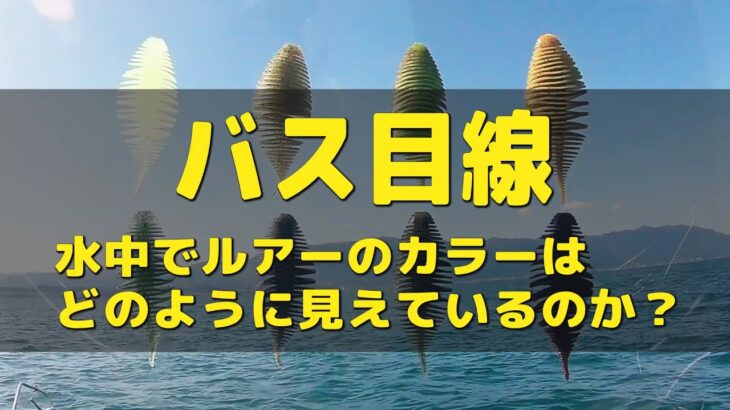 【バス目線 その1】　水中でルアーのカラーはどのように見えているのか？ディープ編