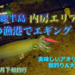 内房の夜にエギングでアオリイカ釣り。房総秋イカエギング【2020年10月千葉県房総の釣り】