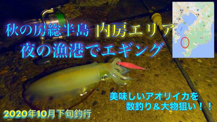 内房の夜にエギングでアオリイカ釣り。房総秋イカエギング【2020年10月千葉県房総の釣り】