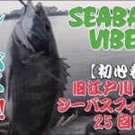 〈25回目シーバスフィッシング〉東京湾奥旧江戸川河口葛西臨海公園でジャクソン鉄板バイブレーションゴリ巻き！【初心者釣りデイゲーム】初クロダイ（チヌ）！