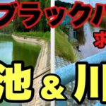 【バス釣り】デカバス釣りたい‼茨城県ブラックバス‼