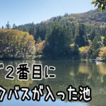 日本で２番目にブラックバスが入った池は今どうなっている？