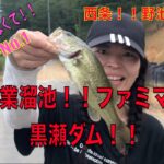 バス釣り🎣西条　野池巡り　第二弾‼️西条農業溜池　ファミマ池　黒瀬ダム編😃