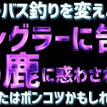 【シーバス釣り】ポンコツに惑わされるな！あなたがポンコツにならない為の総合シーバス講座！