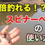 【バス釣り】スピナーベイトの釣れる使い方！テクニックのやり方をマスターしてスピナベ使いになろう！【スローロール】【スピナベサイト】