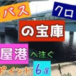 シーバス・クロダイ釣りルアー初心者にお薦めの名古屋港近辺釣り場紹介