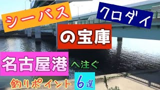 シーバス・クロダイ釣りルアー初心者にお薦めの名古屋港近辺釣り場紹介