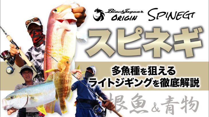 【スピネギ×根魚&青物】多魚種を狙えるライトジギングを徹底解説