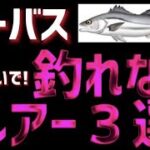 【シーバス】投げない方が良い…釣れないルアー３選！