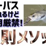 【シーバス】反則的な釣り方なのでマナーを守れる人だけ見て下さい