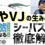 【シーバス】釣らせるお約束！コアマン泉さんの『シーバス釣りがある日突然うまくなる』を徹底解説！