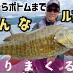 【バス釣り】秋のスモールマウスバスを色んなルアーを使って釣りまくる！【巻モノ】