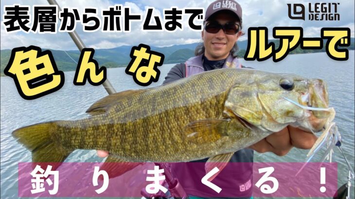 【バス釣り】秋のスモールマウスバスを色んなルアーを使って釣りまくる！【巻モノ】