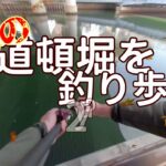 【道頓堀ブラックバス】2020 秋 釣れるポイントとルアー紹介します！Day 2