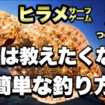 【ヒラメ】サーフで初心者が簡単にヒラメを釣る3つのポイント！！