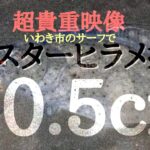 座布団ヒラメ捕獲！！90オーバーいわき市サーフ