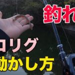 【バス釣り】ネコリグの動かし方やアクションのコツを徹底解説!!釣れる使い方（釣り方）のポイントはこれだ!!【スイミング】【OSP】【RAID JAPAN】【バス釣りJAPANちゃんねる】