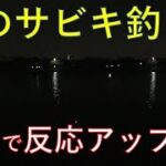 夜のサビキ釣りで連発！ 〇〇を付けると反応UPだぜ