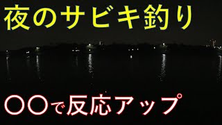 夜のサビキ釣りで連発！ 〇〇を付けると反応UPだぜ