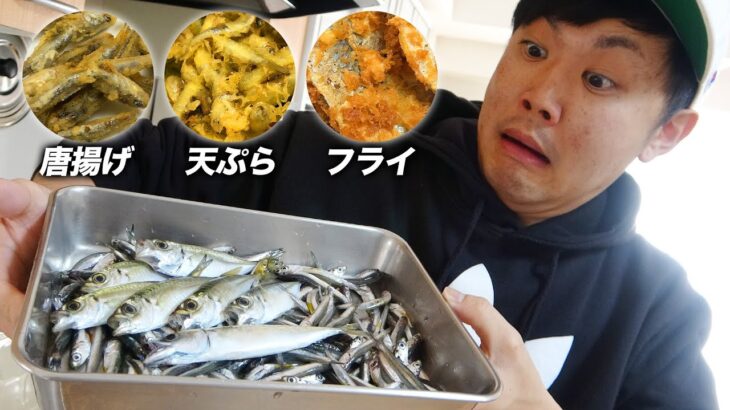 青物はどの揚げ方が一番美味しいの？【サビキ釣り料理】