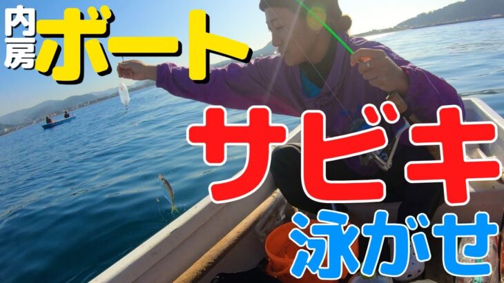 【内房】手漕ぎボートでサビキ釣りしたらアジ爆釣だった【水中映像あり】