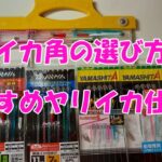 【ヤリイカ釣り】イカ角の選び方&おすすめヤリイカ仕掛け