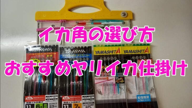 【ヤリイカ釣り】イカ角の選び方&おすすめヤリイカ仕掛け