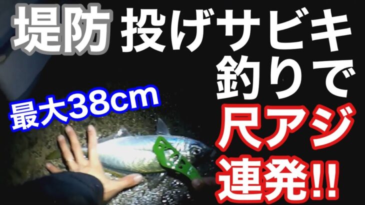 堤防投げサビキ釣りで尺アジ連発！メガアジの下処理まで紹介【釣り日記2020】