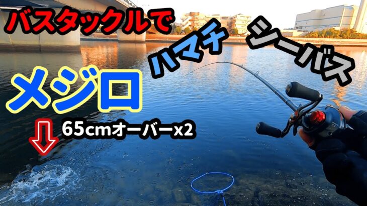 気軽にバスタックルで【南芦屋浜】行ったらハマチやメジロが昼も夜もセットアッパーで爆釣！！