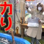 函館でイカ釣りに挑戦！ その場で食べるイカ刺し最高！