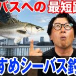 【おすすめシーバス釣り場】シーバス釣りはココから初めることをオススメします！オヌマンのシーバス塾