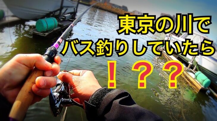 【驚愕】東京の川でバス釣りしていたら！？　　        都内　ルアー　川　黒鯛　チヌ　釣り