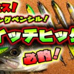 シーバス必釣！シンペン スイッチヒッター！ – タダ巻きが一番釣れるルアー編 – 東京湾シーバス