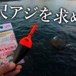 尺アジを求めて！投げサビキ釣りでデカいアジを狙う【車中泊釣り旅／前半】