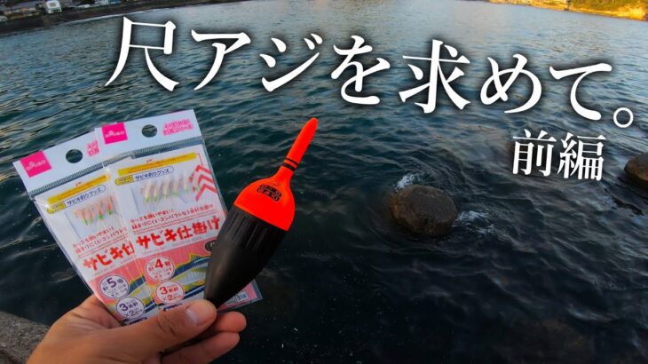 尺アジを求めて！投げサビキ釣りでデカいアジを狙う【車中泊釣り旅／前半】