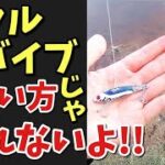 【バス釣り講座】メタルバイブの使い方をわかりやすく解説